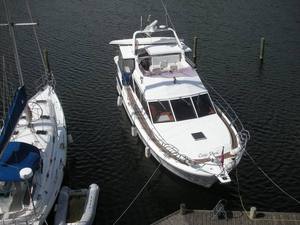 Edership 41